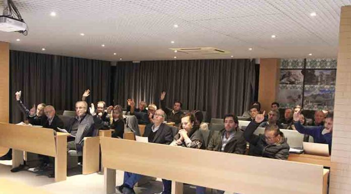 Gazeta das Caldas - Assembleia Municipal