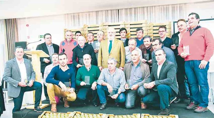 Gazeta das Caldas - Pêra Rocha