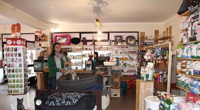 Uma loja com tudo para os animais de companhia