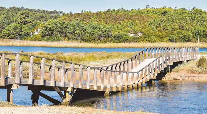 Gazeta das Caldas - Ponte da Ferraria