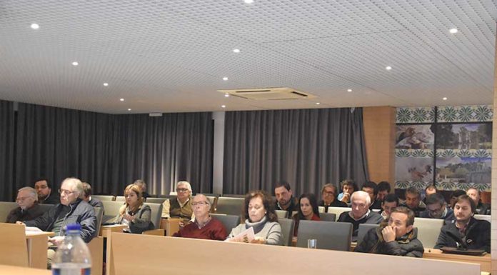 Gazeta das Caldas - Assembleia Municipal