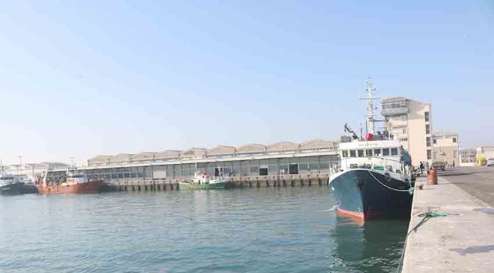 Gazeta das Caldas - Peniche