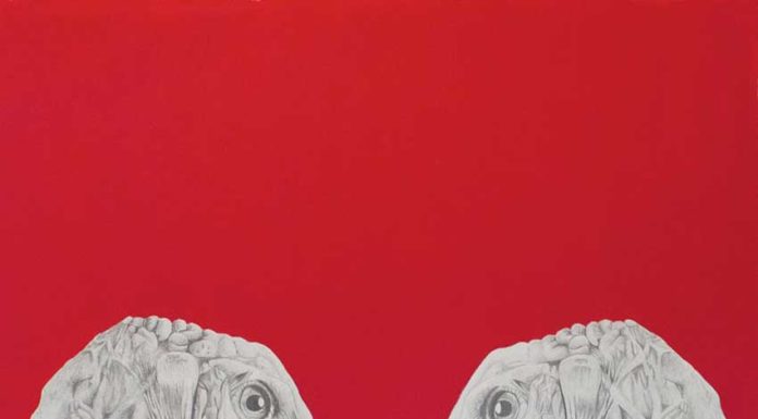 Gazeta das Caldas - Piló