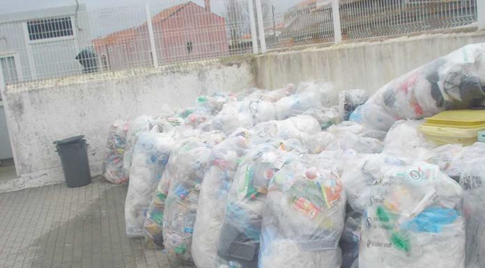 Escola de Alfeizerão participa no concurso Separa e Ganha Amarelo Gazeta das Caldas - Alfeizerão