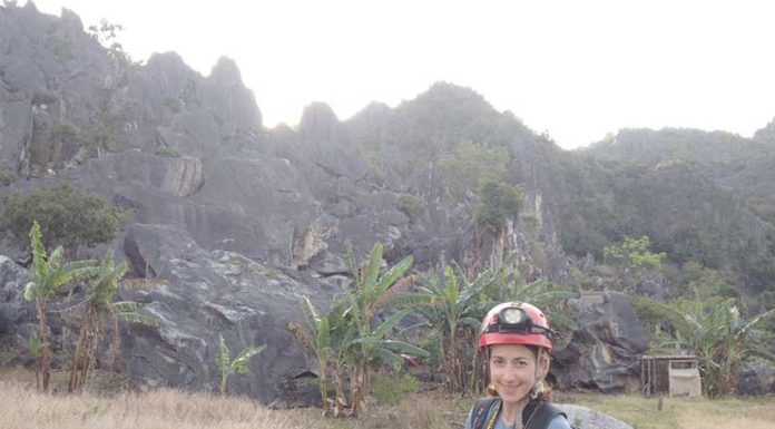 Bióloga caldense encontrou novo escaravelho Gazeta das Caldas