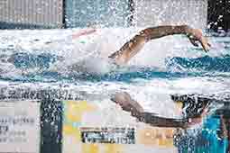 Gazeta das Caldas - Natação