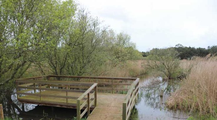 Reserva do Paul de Tornada celebra uma década