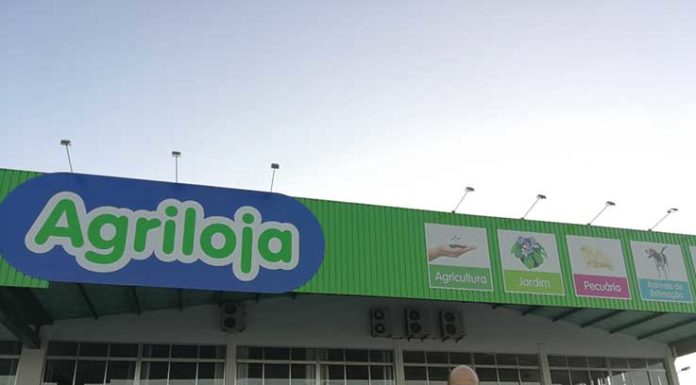 “Acreditamos que melhores pessoas são melhores profissionais” – Jorge Trincão, director regional da Agriloja