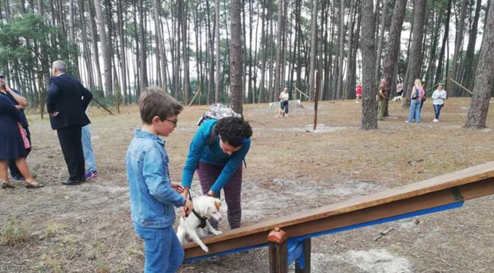 Campo canino inaugurado junto à ESAD