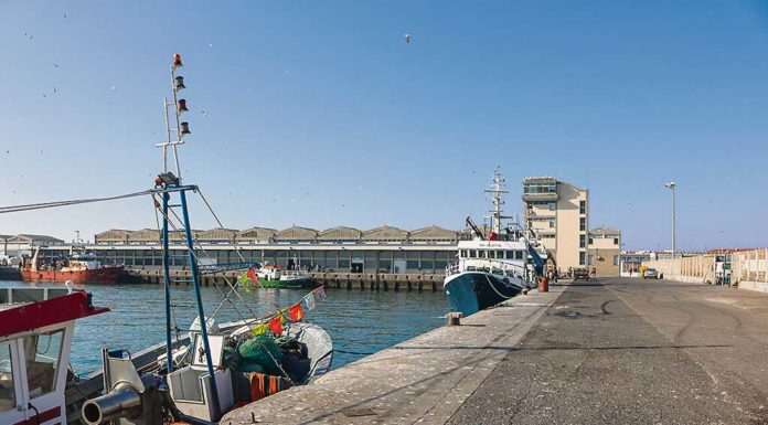 Investimentos de dois milhões de euros no porto de Peniche