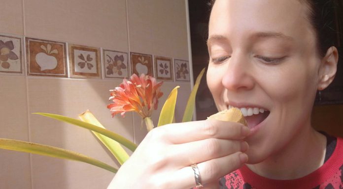 Produtos feitos com amendoim são vendidos na Praça da Fruta