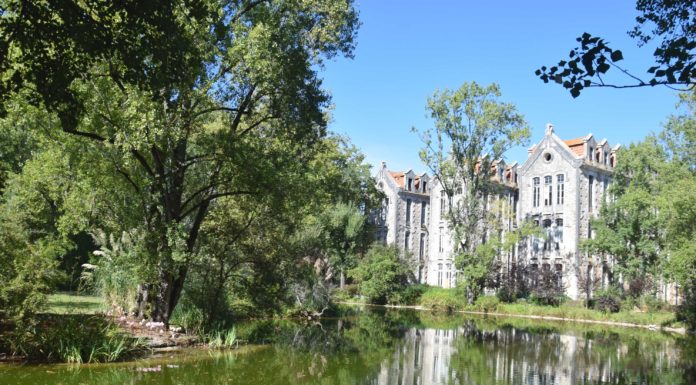 Ratos no Parque assustaram, mas problema “está controlado”