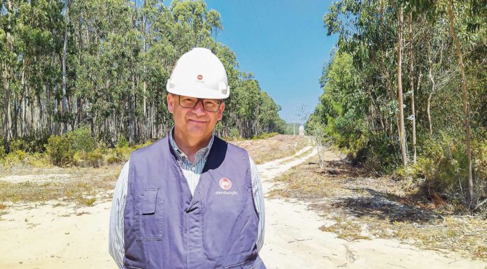 EDP Distribuição investe 180 mil euros na prevenção de incêndios florestais no distrito