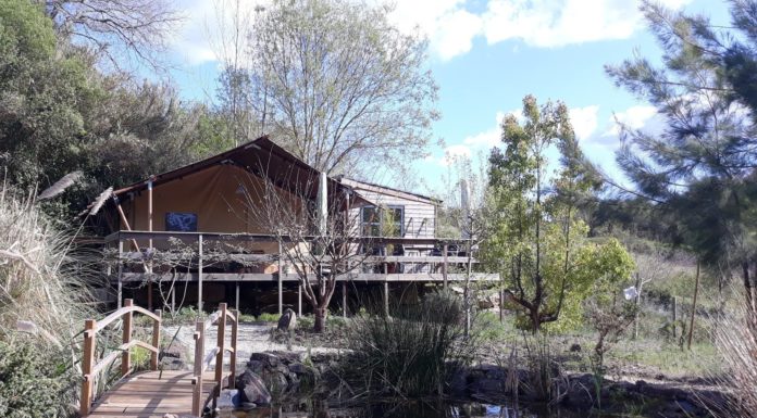 Meia centena de médicos e enfermeiros de cuidados intensivos convidados a passar fim-de-semana na região