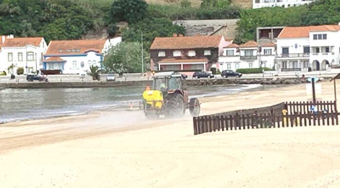 APA confirma desinfecção da praia de São Martinho