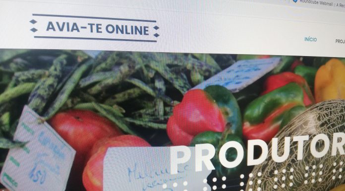 Plataforma Avia-te Online pretende aproximar produtores agrícolas e clientes