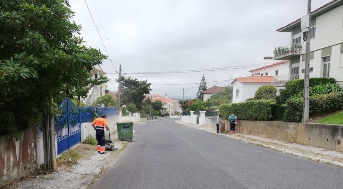 Junta das Caldas prossegue limpeza das bermas e passeios