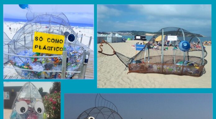 Alcobaça conquista prémio internacional com projecto ambiental