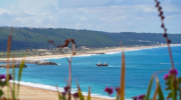 Coronavírus: Mais de 150 pescadores da Nazaré vão fazer teste à Covid-19