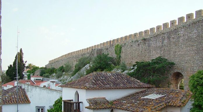 Oito novos casos de covid-19 registados em Óbidos