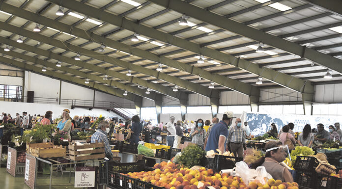 Praça da Fruta permanece na Expoeste até Agosto