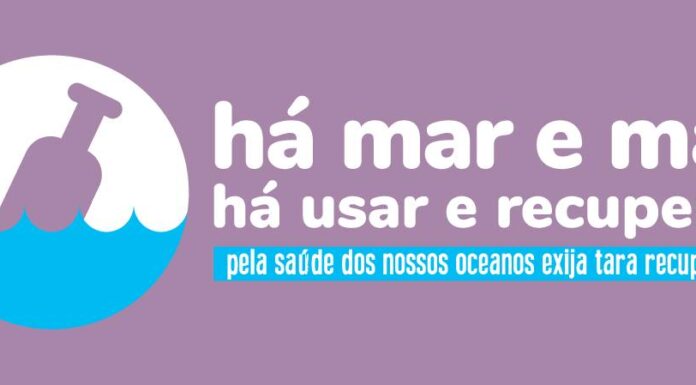 Campanha ambiental pretende que bebidas sejam vendidas com tara recuperável