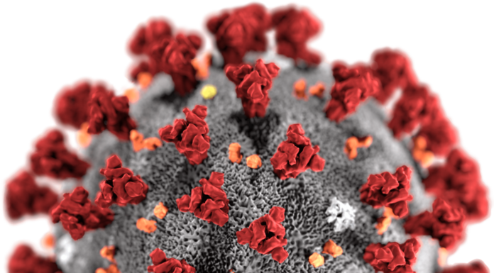 Mais quatro casos de infecção em Alenquer