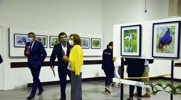 Parque D. Carlos I em destaque no 93º aniversário da elevação das Caldas a cidade