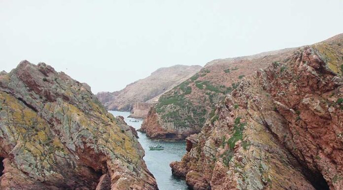 IPL quer criar novos produtos a partir de recursos marinhos