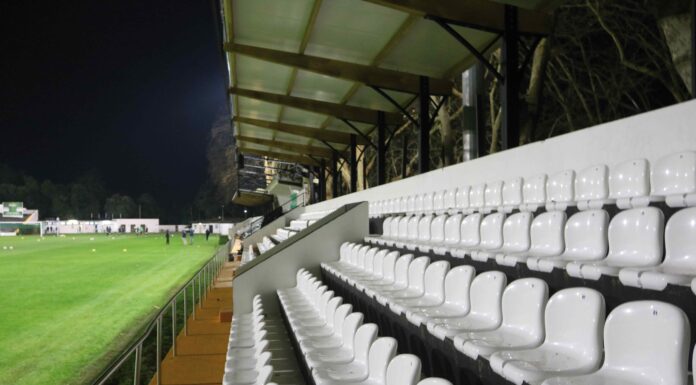 Renovação da Mata deverá estar concluída em 2021