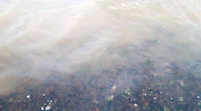 Mau cheiro na Lagoa preocupa comissão cívica