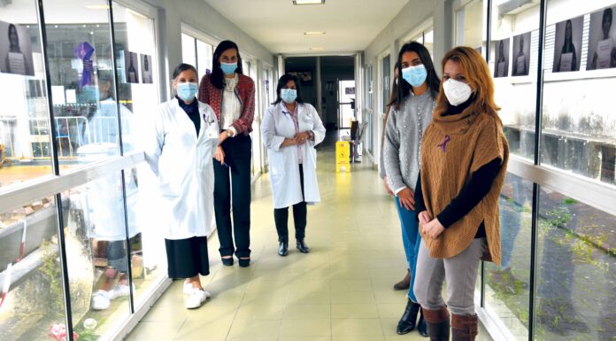 Caldas participa na luta contra a violência doméstica