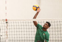 Voleibol: Sp. Caldas afastado da Taça de Portugal