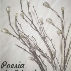 Poesia de Cristal por Stella Onofre