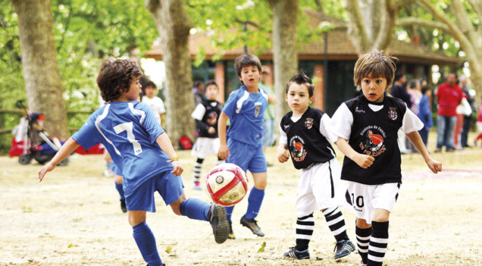 Futebol: AF Leiria trava torneios e jogos dos escalões etários precoces