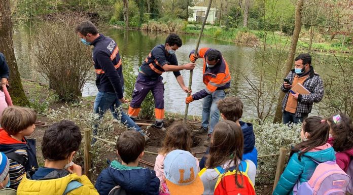 Crianças da região assinalaram Dia da Árvore