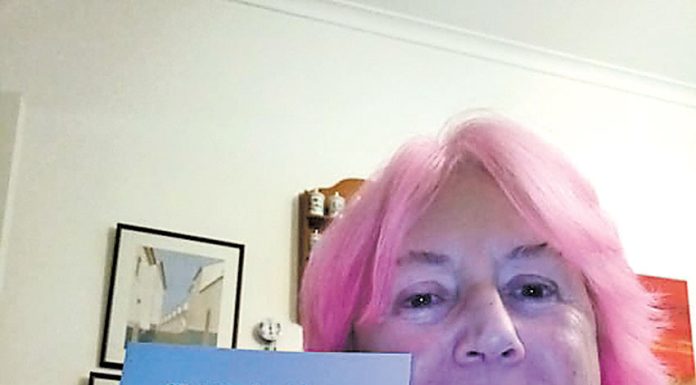 Caldense lançou “diário” da vida de uma professora