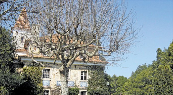Museu de Cerâmica candidato a Monumento de Interesse Público