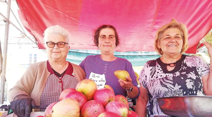 Praça da Fruta: onde a tradição luta para continuar a ser o que era