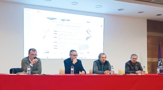 Fruticultores lutam contra o Fogo Bacteriano