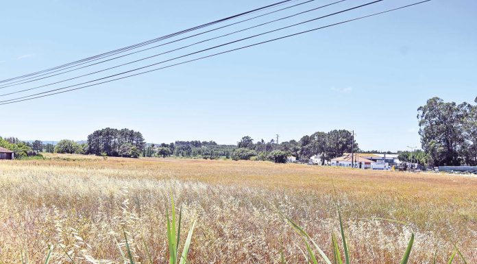 Caldas quer comissão técnica independente para definir localização do novo Hospital