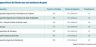 Oeste tem 11 cooperativas no estudo das maiores do país