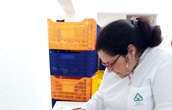 Ana Cristina Rodrigues, uma bióloga que está a criar gomas que previnem cáries