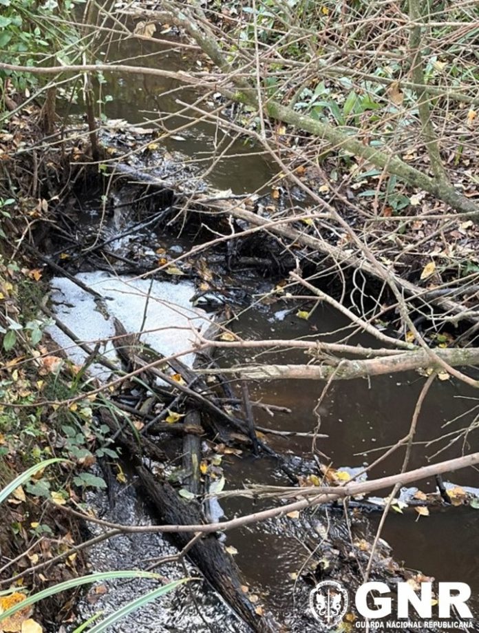 GNR Leiria – Detetada descarga ilegal de efluentes pecuários (2) (1)