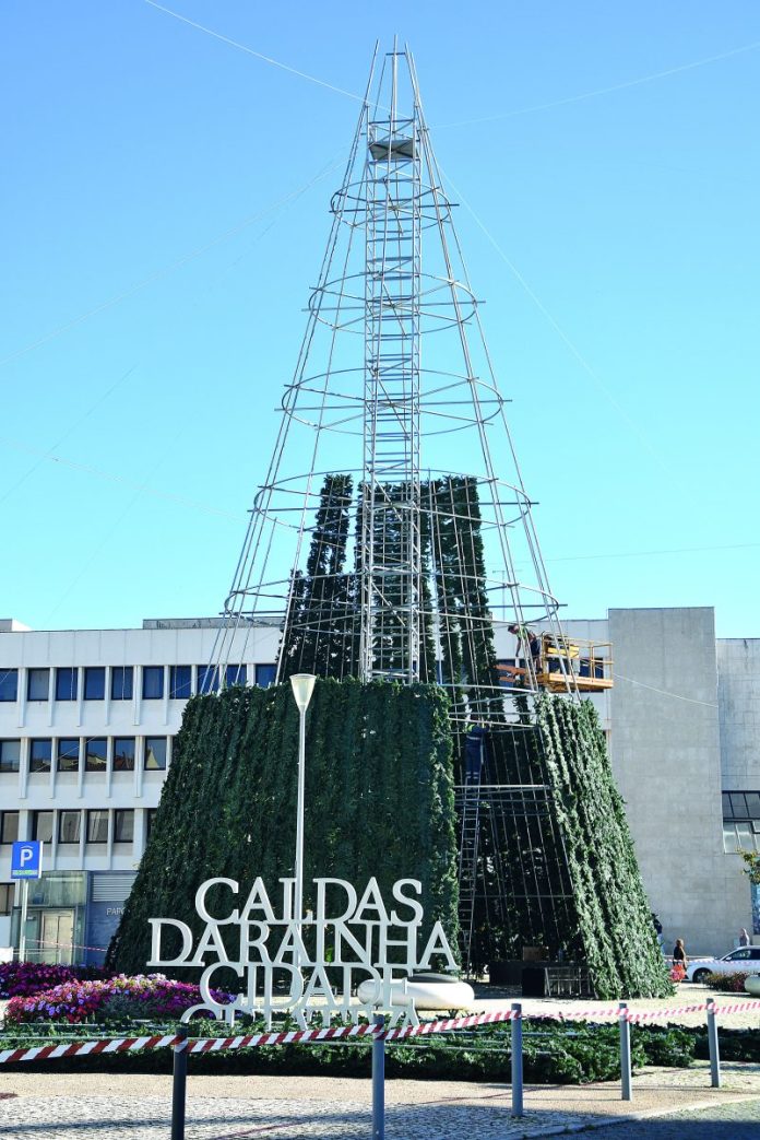 1-FF-arvoreNatalCaldas2025