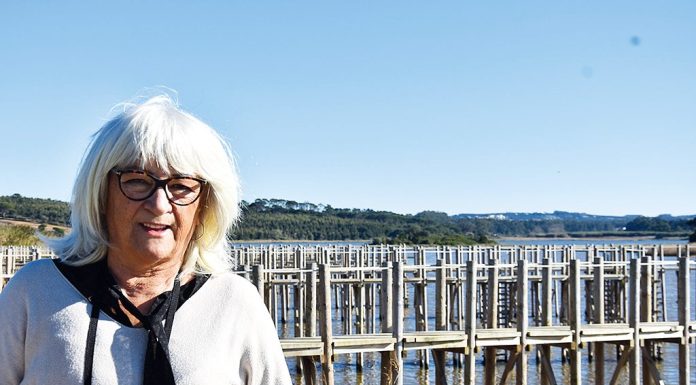 1 ff jesusfernandes2025