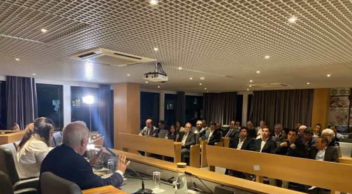 assembleia municipal caldas