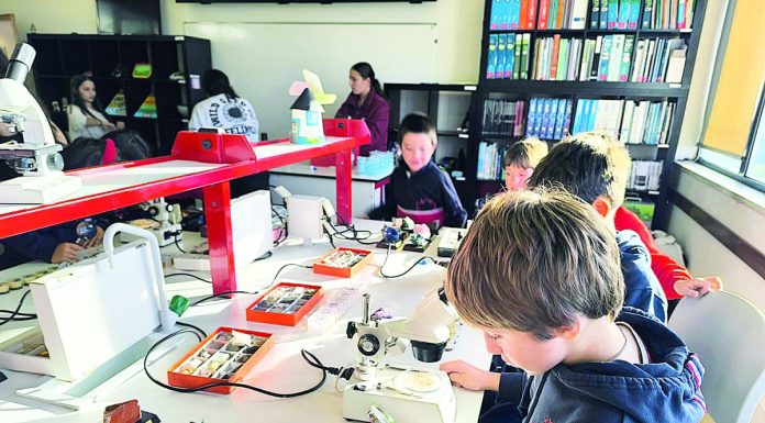 radar feira ciencia crdl 2025 dr