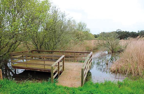 txt2 fotopaultornadaisaquevicente