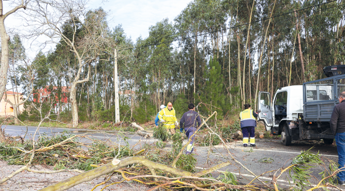 Depressão Kristin deixou rasto de destruição na região